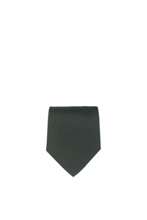 Lucky Tiger' Embroidered Silk 領呔